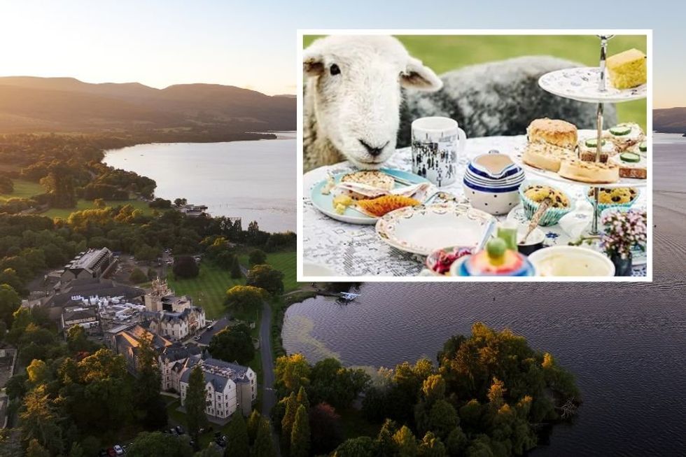5-star Scottish resort offers whimsical afternoon tea experience with 'naughty sheep'