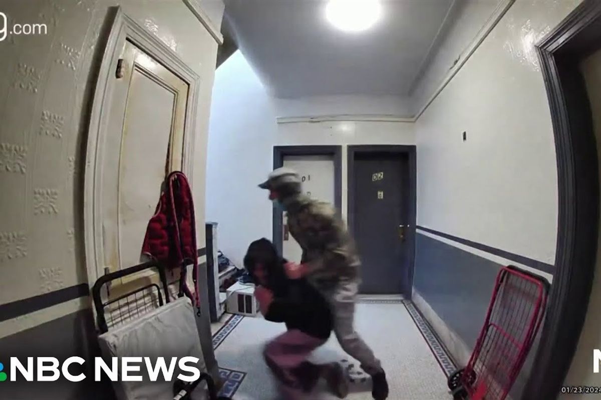 heroes; attempted kidnapping; mom fights off kidnapper; new york attempted kidnapping; mom hero