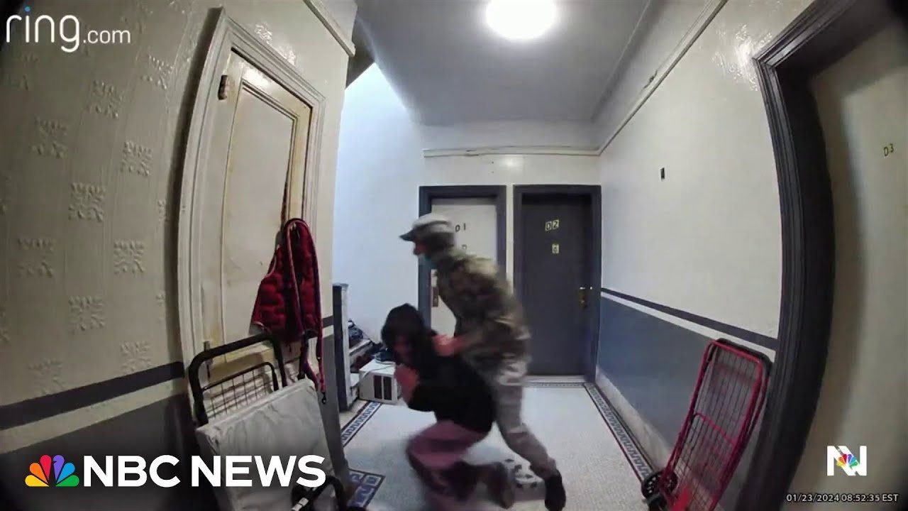 heroes; attempted kidnapping; mom fights off kidnapper; new york attempted kidnapping; mom hero 