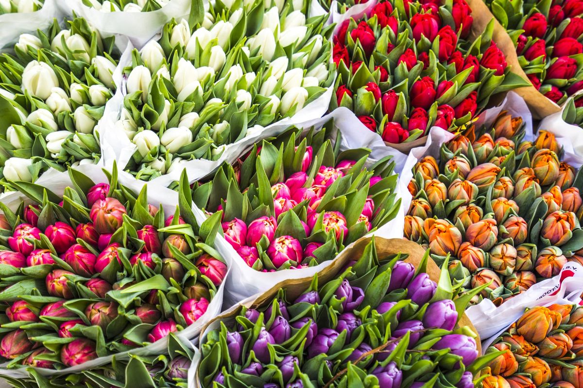 fiori mercato primavera