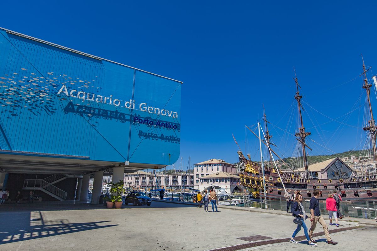 Da Genova a Cattolica, ecco gli acquari più belli d'Italia