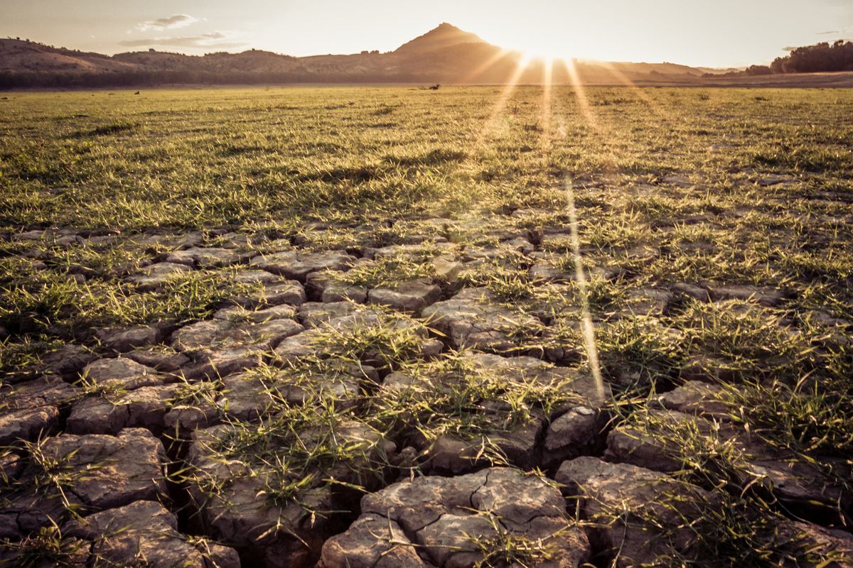 Corsi di autodifesa sul clima fatti da geometri