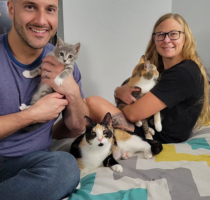 happy cat kitten adoption