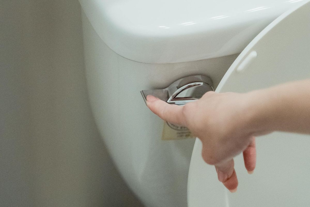 toilets, flushing, dr. rajan