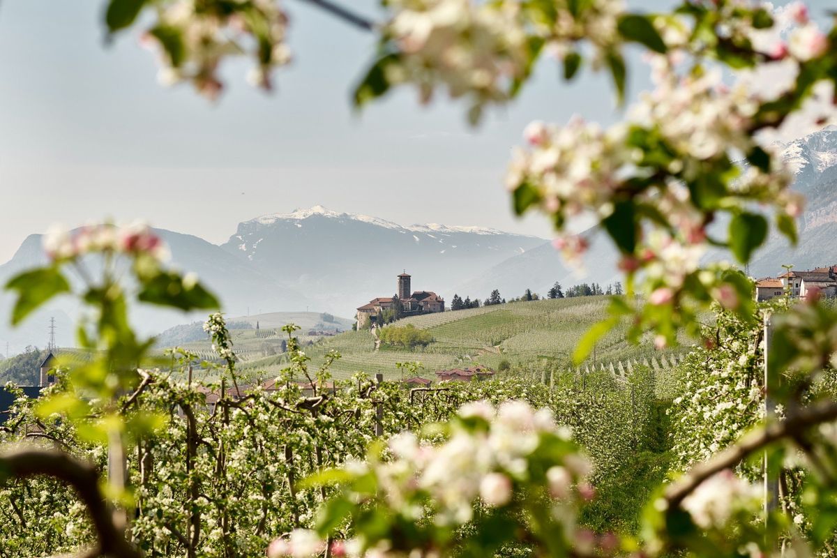 I castelli aprono le porte con cacce al tesoro e picnic all’aria aperta