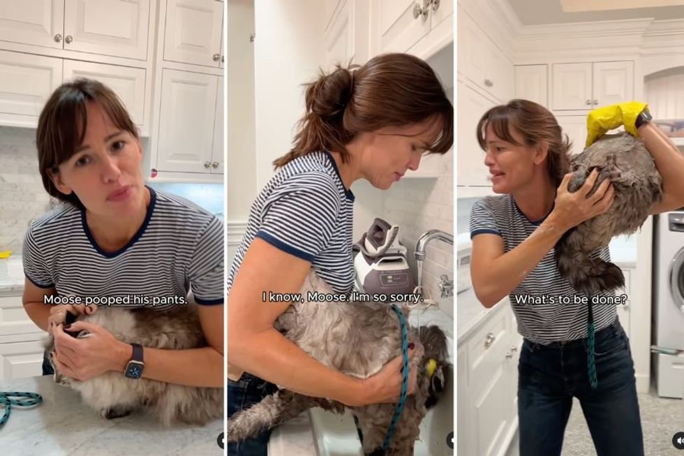 Jennifer Garner attempting to bathe her cat is 100% relatable to cat owners