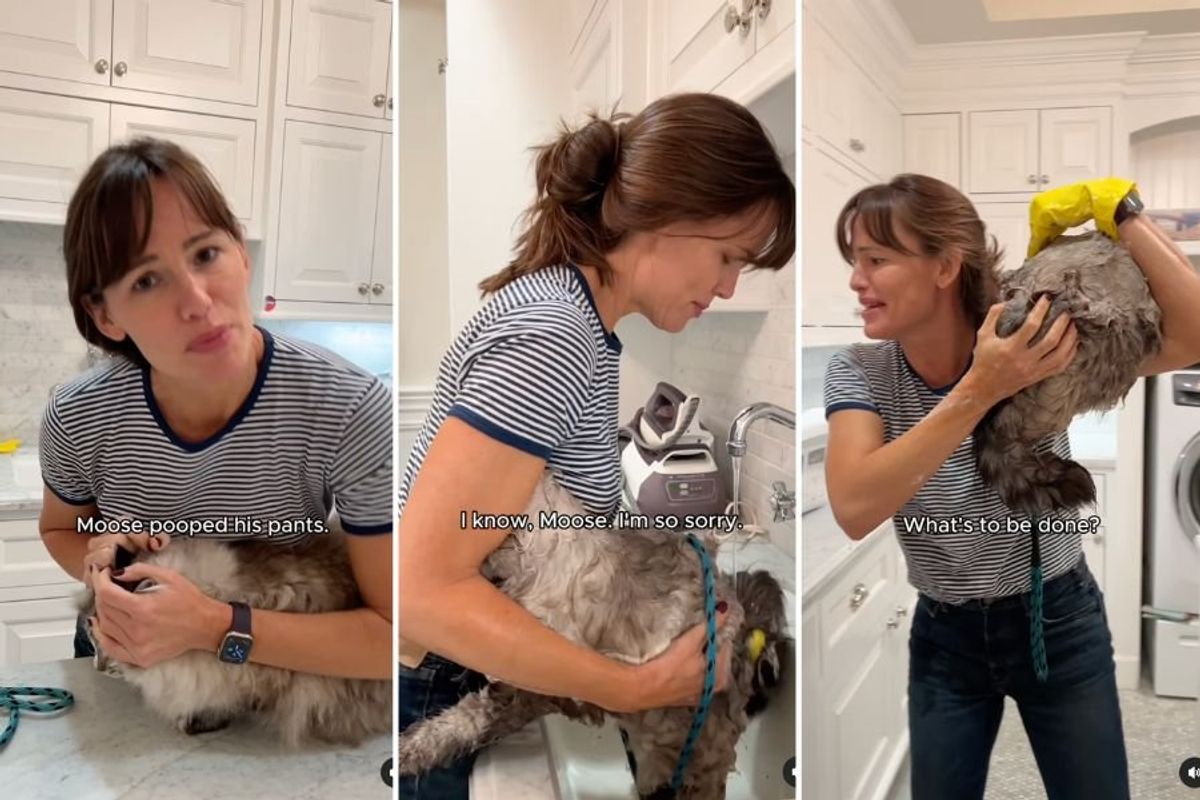 Jennifer Garner attempting to bathe her cat, Moose