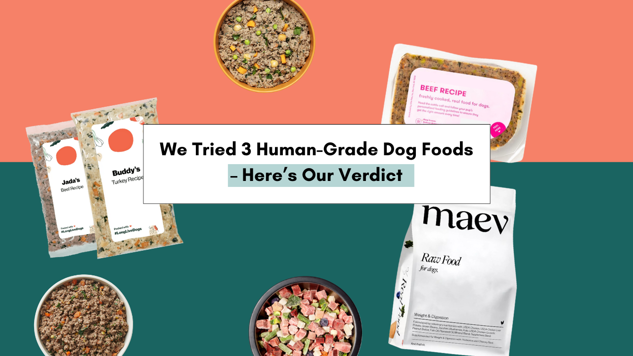 We Reviewed The Best HumanGrade Dog Food Brands Out There Ollie, The