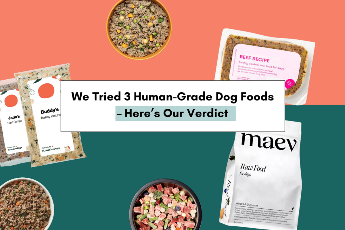 We Reviewed The Best Human-Grade Dog Food Brands Out There: Ollie, The Farmer's Dog, And Maev