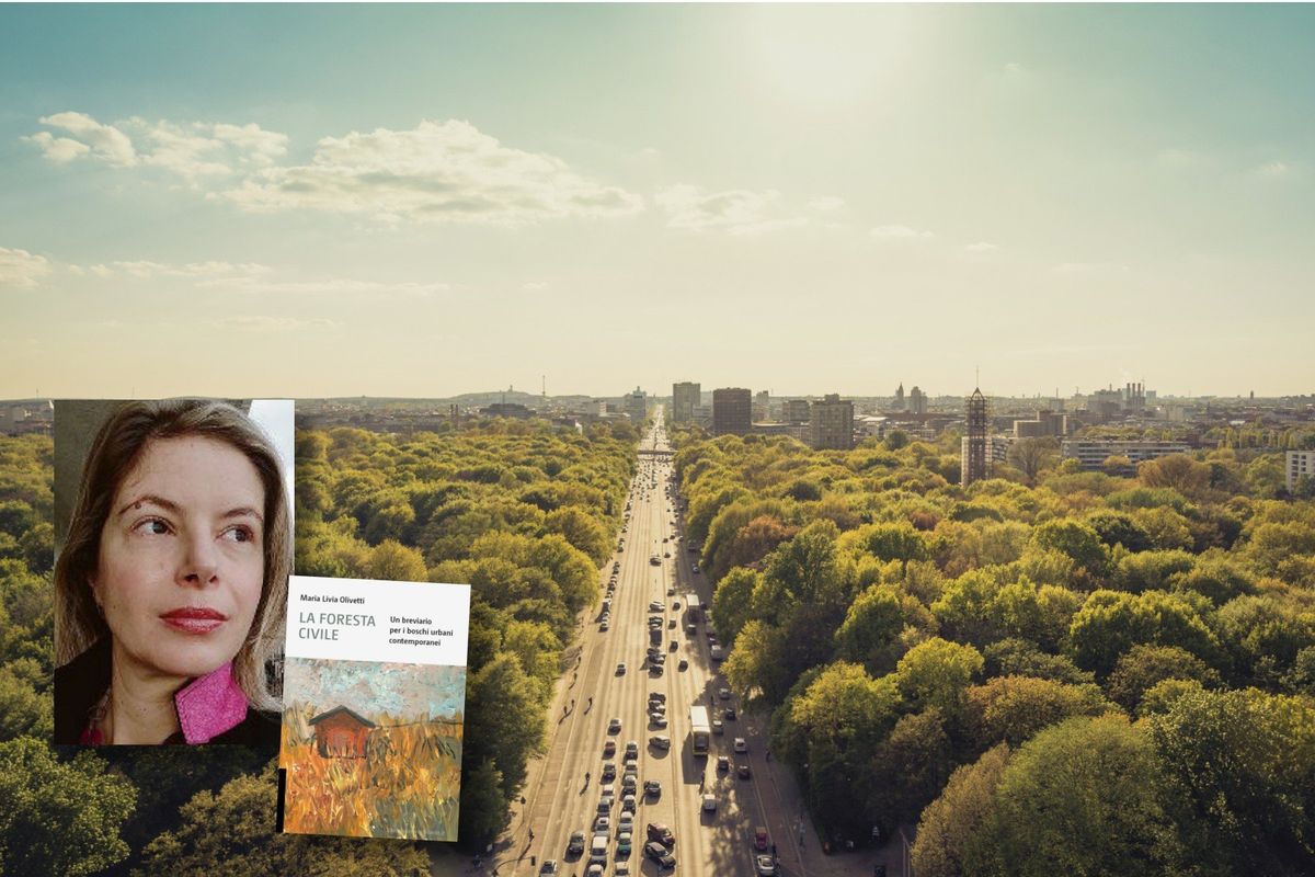 La foresta portata dentro la città rischia di diventare uno «zoo di alberi»