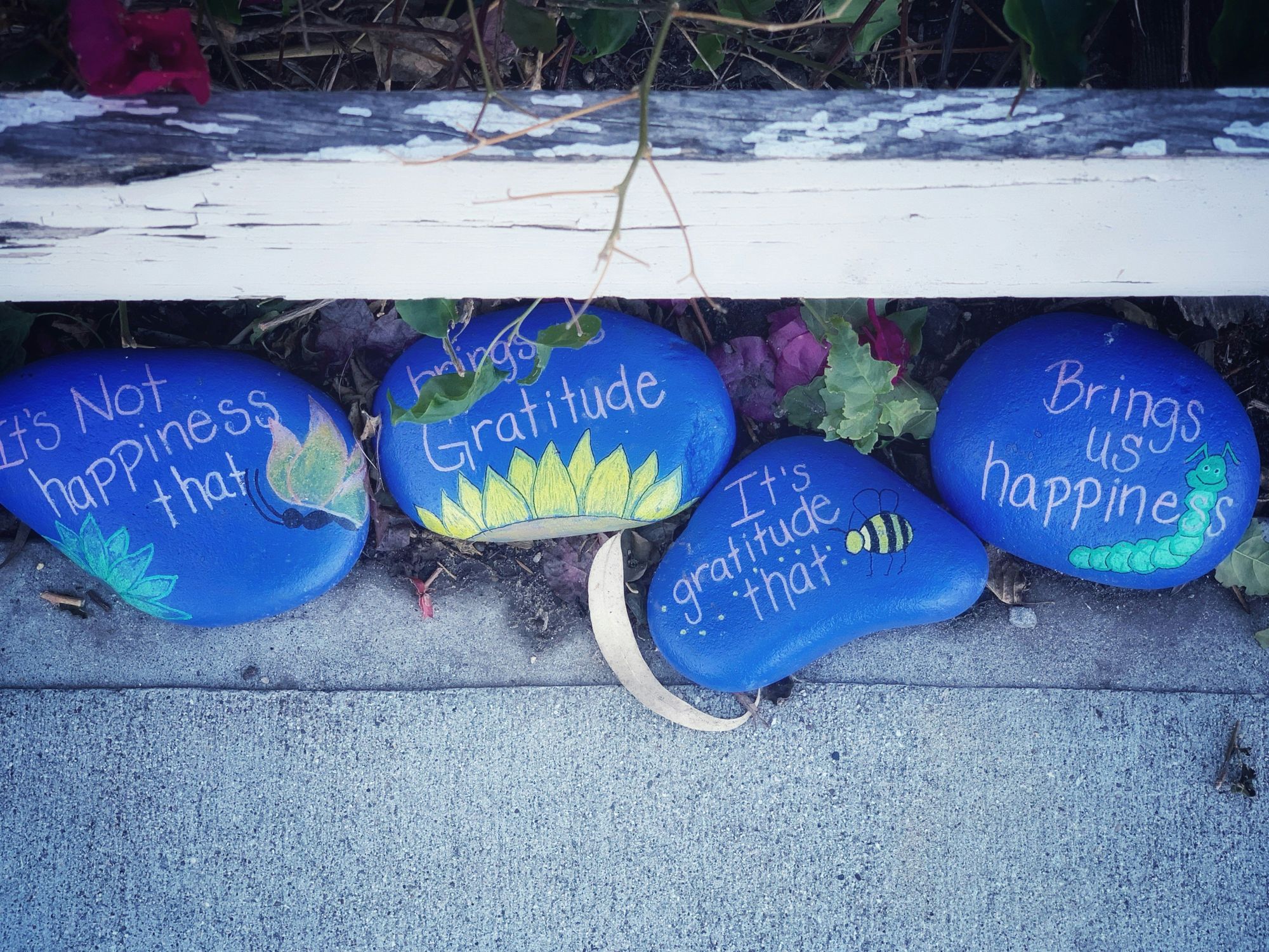 painted rocks with words written on them