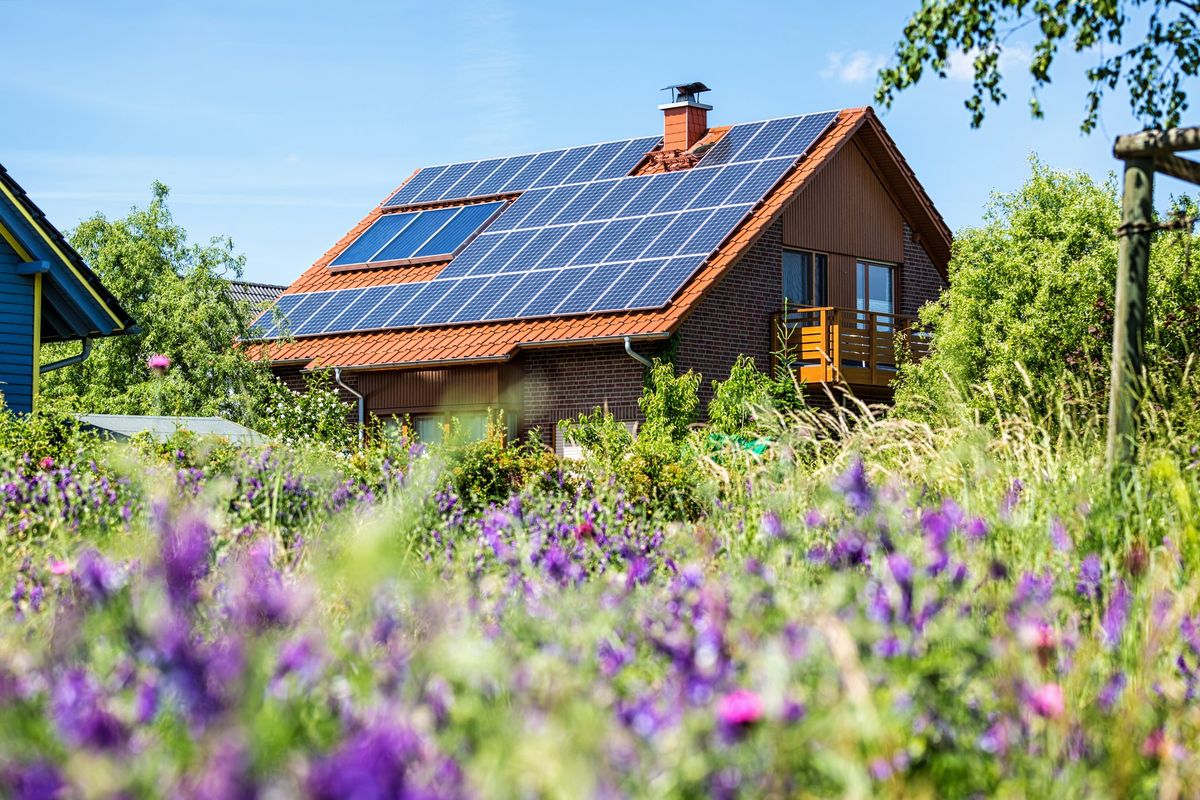 Se la casa non è green, niente affitto