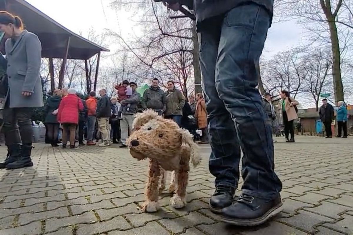dog puppet on the street