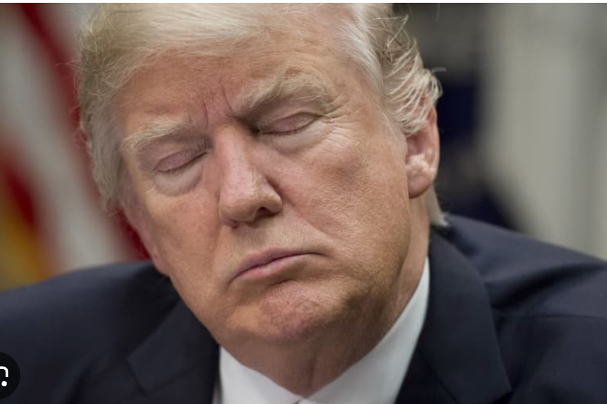 'I Think I'd Fall Asleep': Right-Wing Media Praise Trump Snoozing In Court