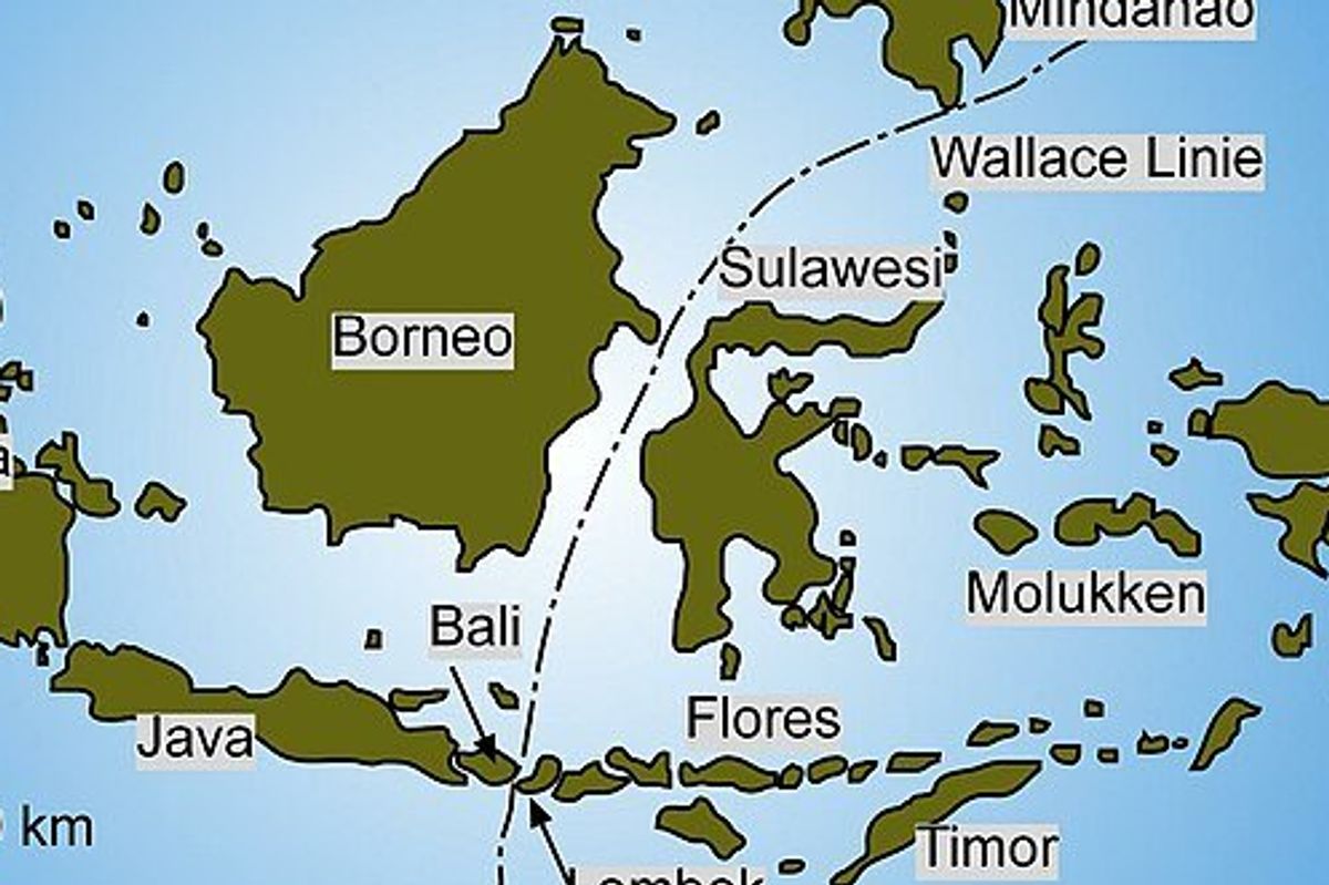 wallace line, pbs eons, biodiversity