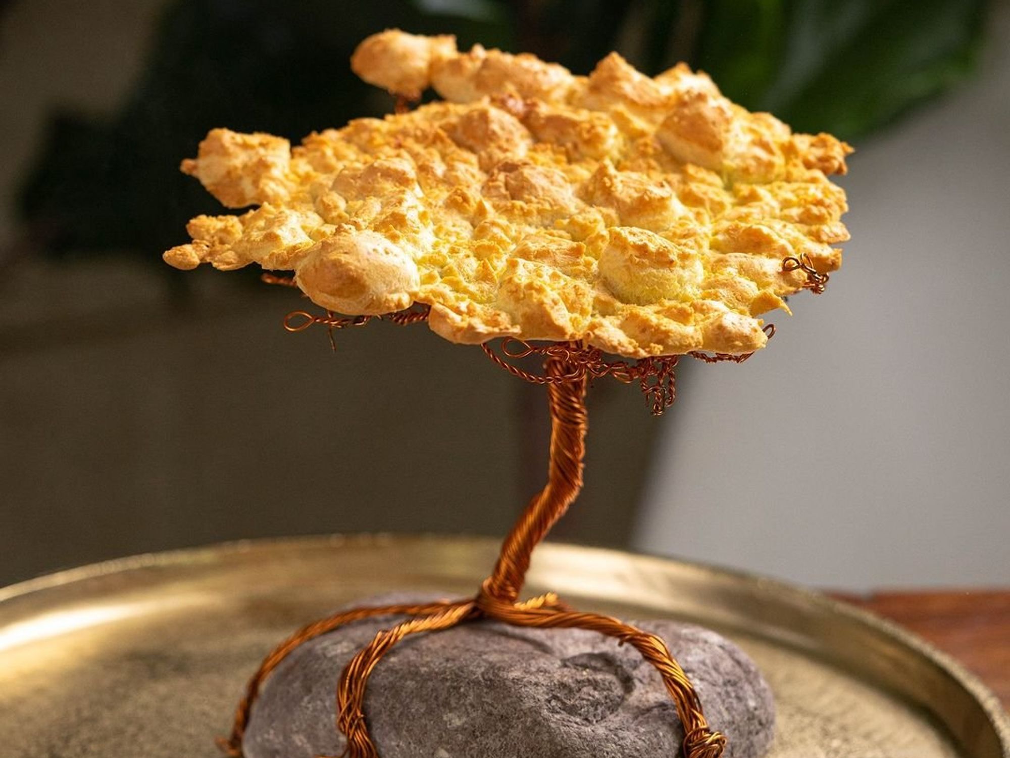 The 'Tree of Life' dish, celebrating the Naked Indian Tree's versatility from the Amazon rainforest, presented within the refined indoor setting of Miami's Latin fine dining establishment, 'Elcielo'.