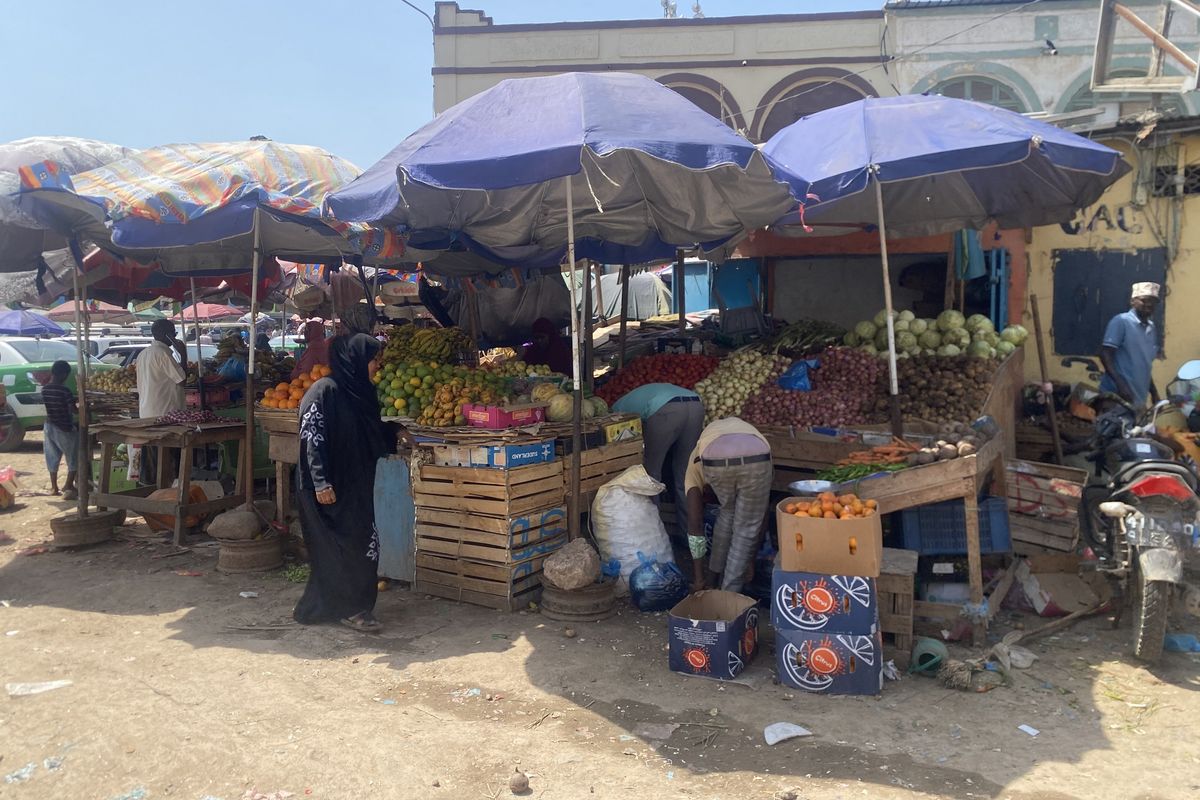 Il ruolo strategico di Gibuti nella crisi del Mar Rosso