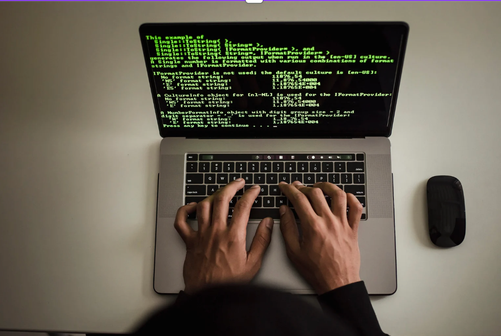software developer jobs