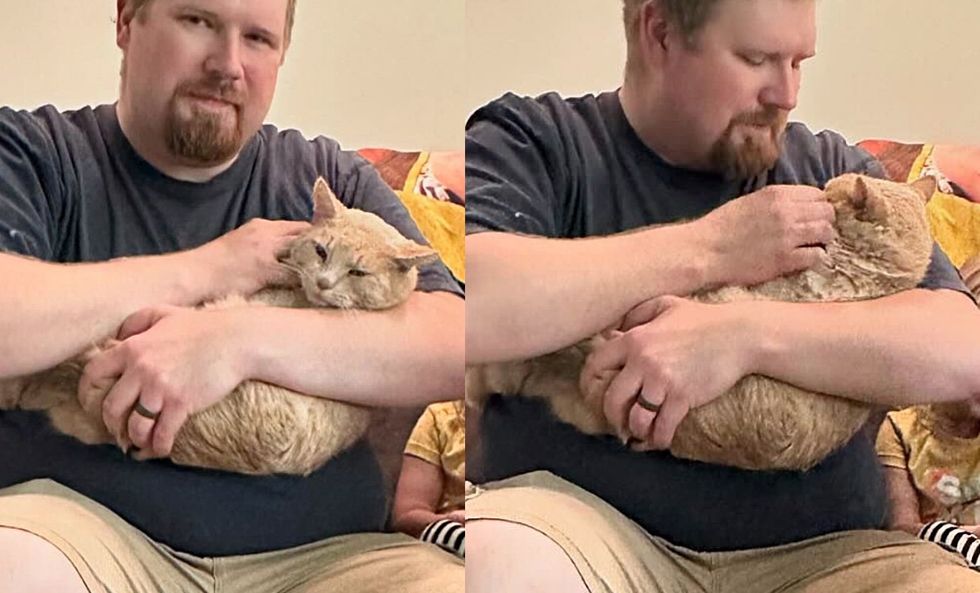 cat cuddling successful  arms