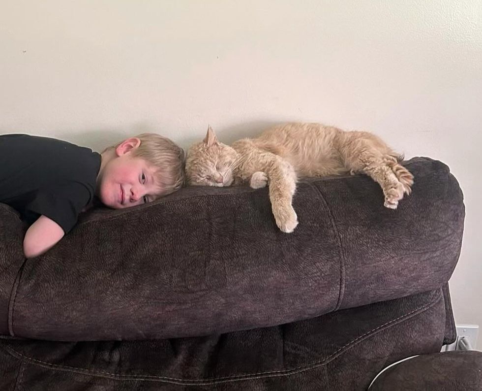 cat snuggly little human