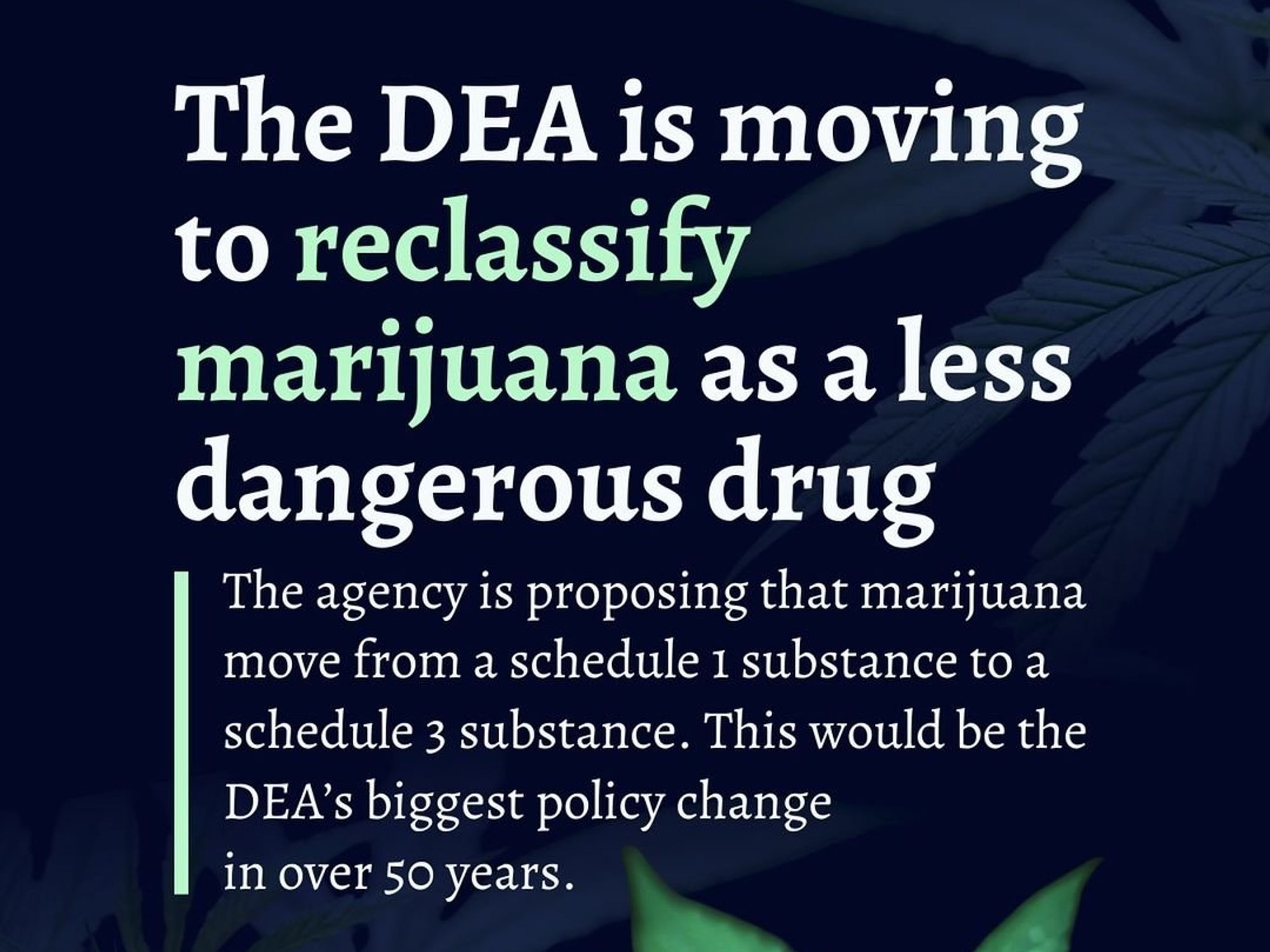 Graphic illustrating the breaking news: The DEA announces the reclassification of marijuana as a less harmful substance.