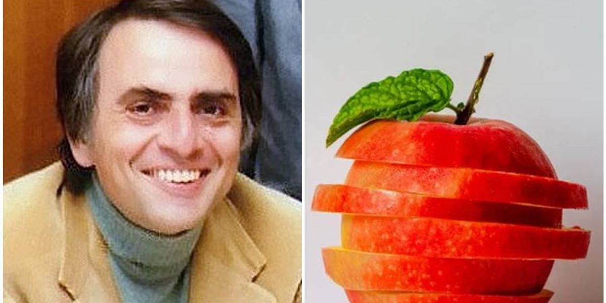 45 years ago, Carl Sagan beautifully explained the fourth dimension with just an apple