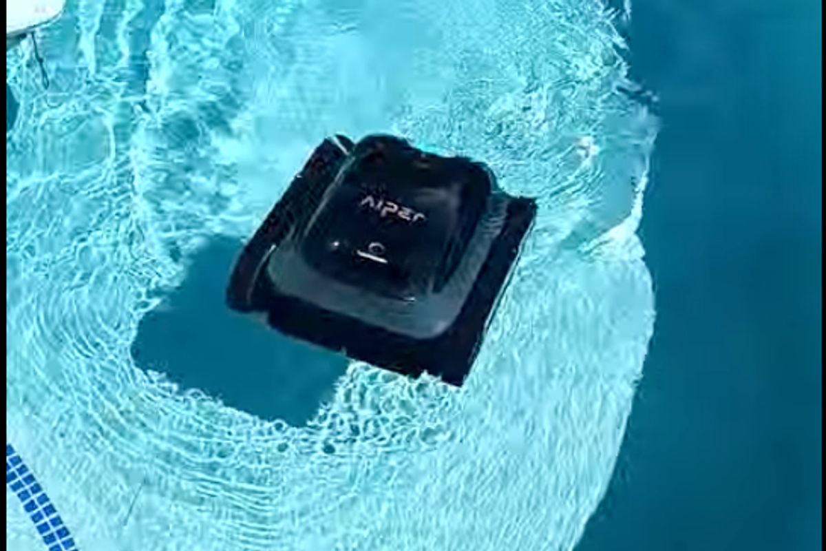 a photo of the Aiper Scuba S1 Cordless Robotic Pool Cleaner starting to go under the water in a pool with Scruffy, our dog, watching