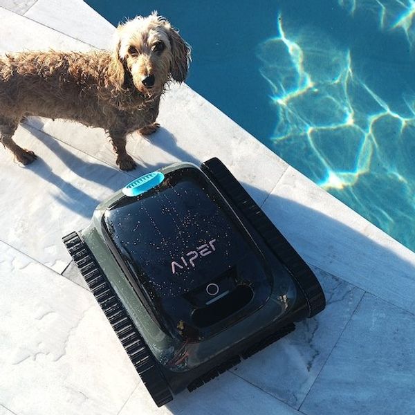 a photo of Scruffy and Aiper Scuba S1 Cordless Robotic Pool Cleaner