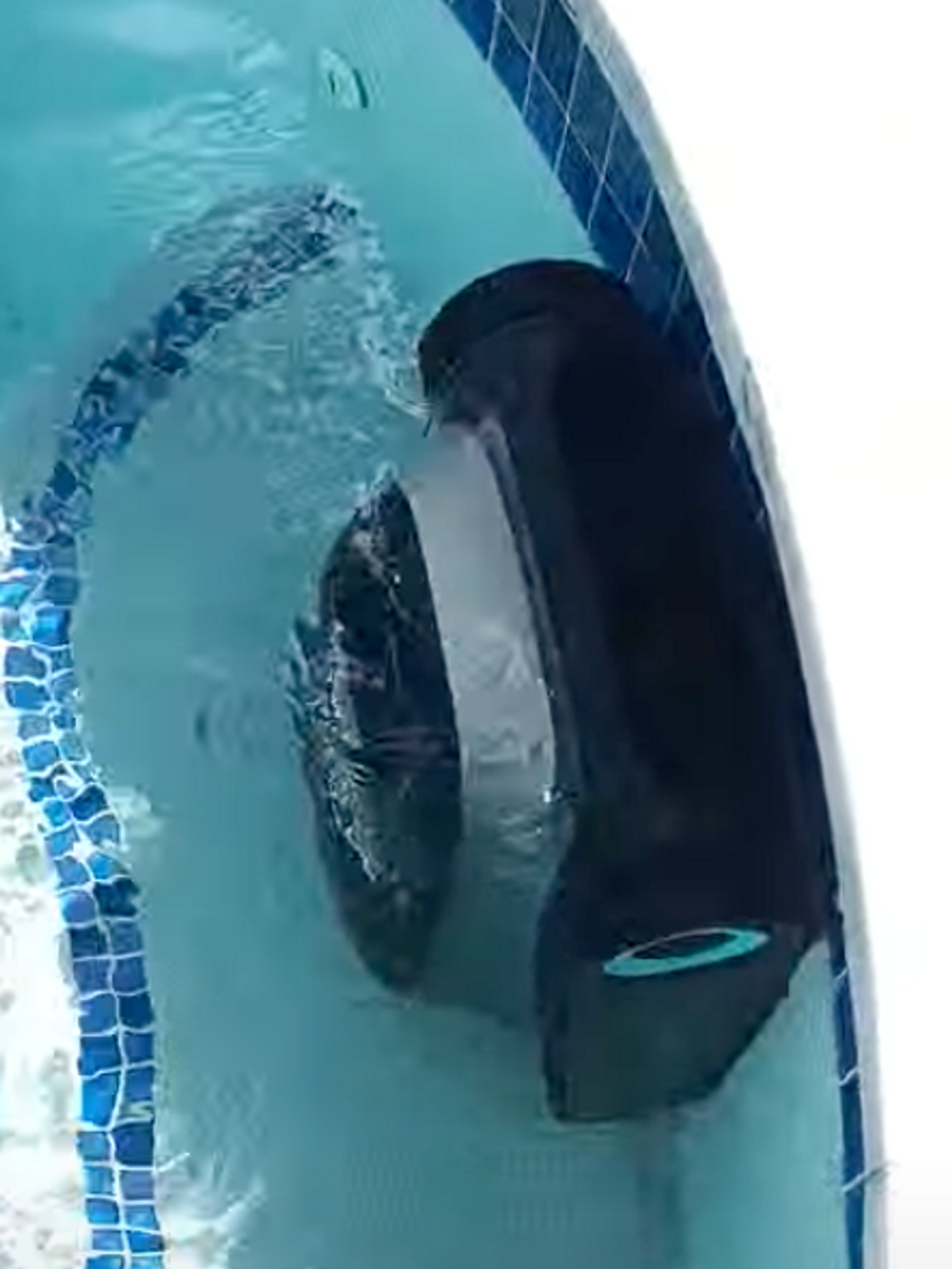 a photo of the Aiper Scuba S1 Cordless Robotic Pool Cleaner going up the side of the pool