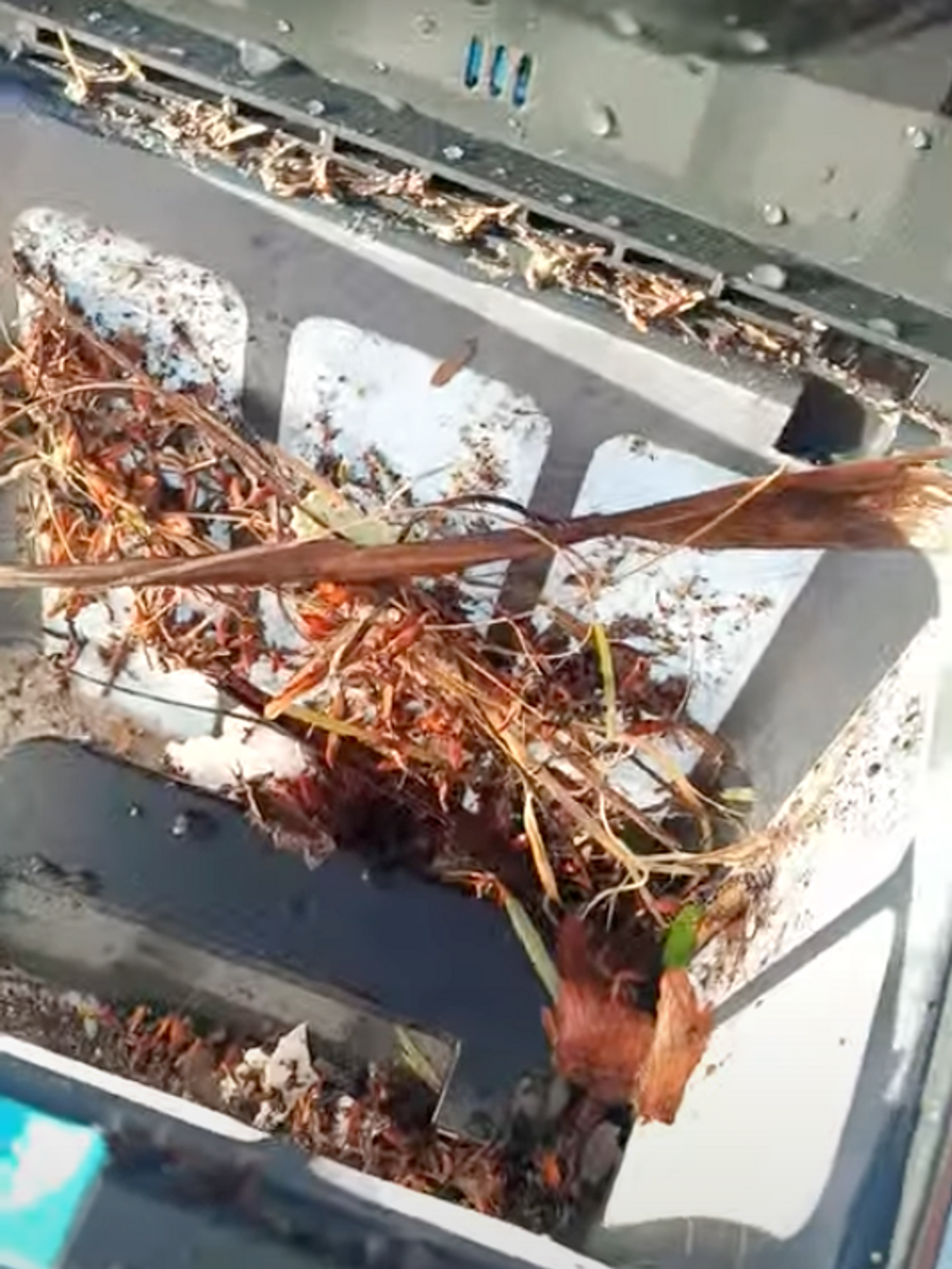 a photo of the inside of the waste basket for Aiper Scuba S1 Cordless Robotic Pool Cleaner showing all the debris it picked up while cleaning.