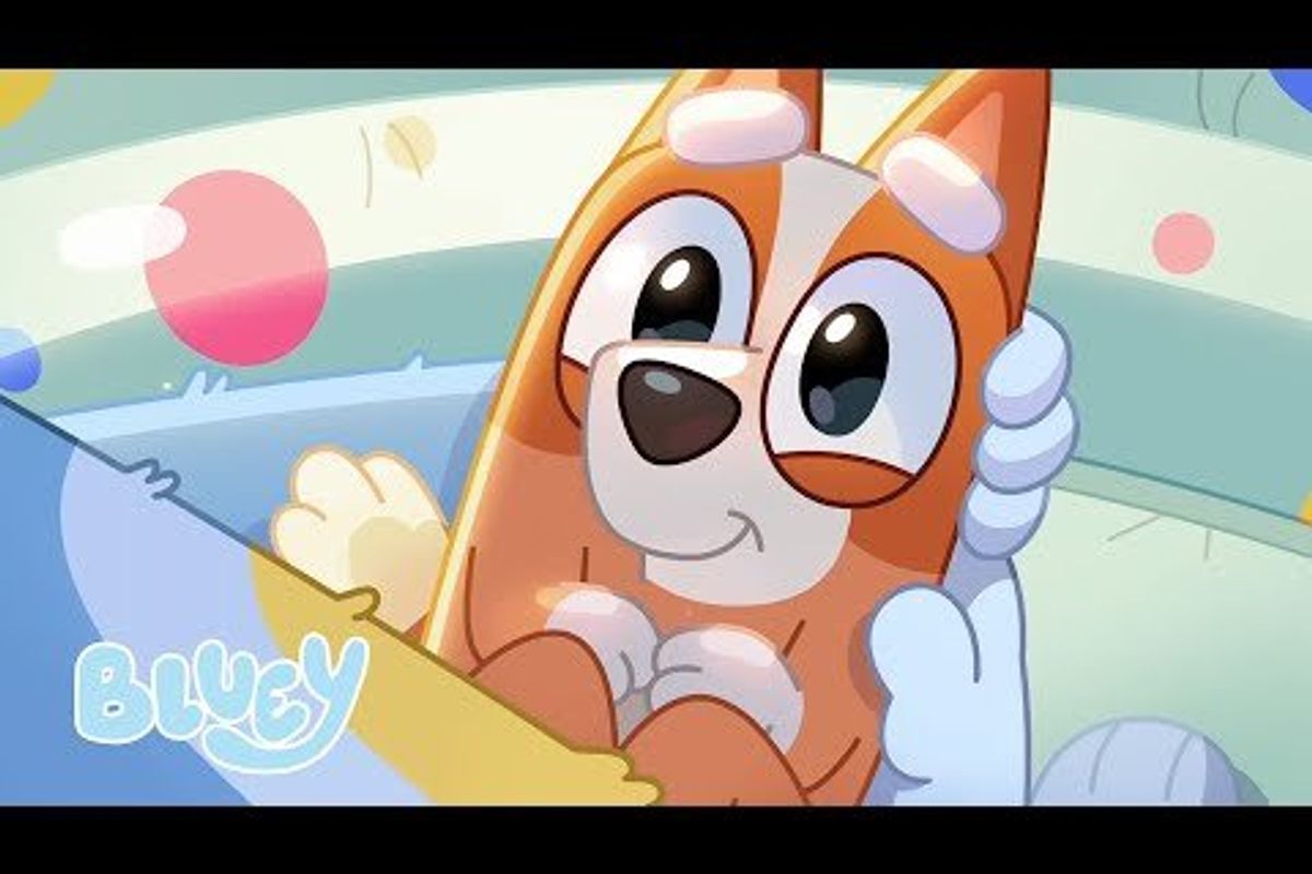 Baby Bingo from Bluey