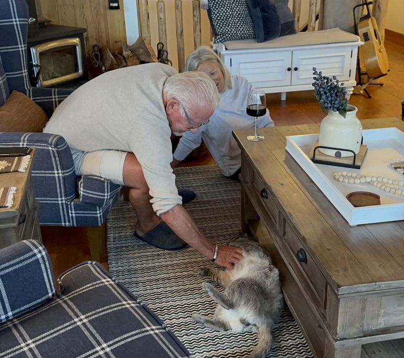 cat rolling belly rubs