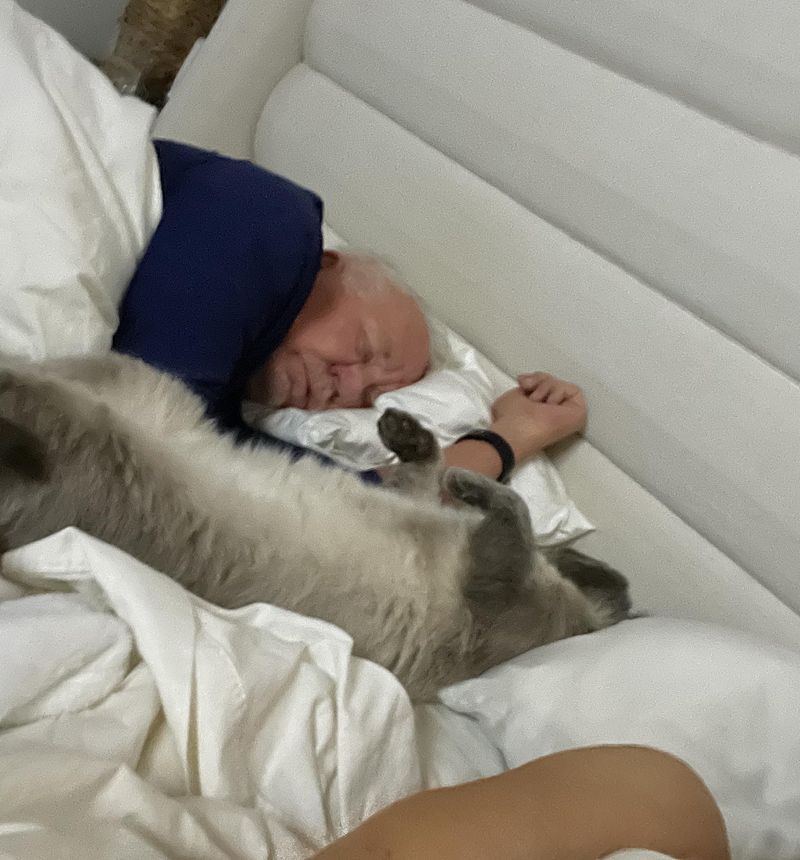 cat sleeping human