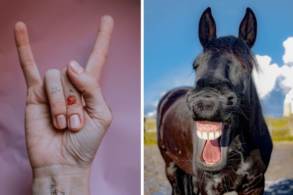 Headbanging horse rocks out to heavy metal and people are loving it