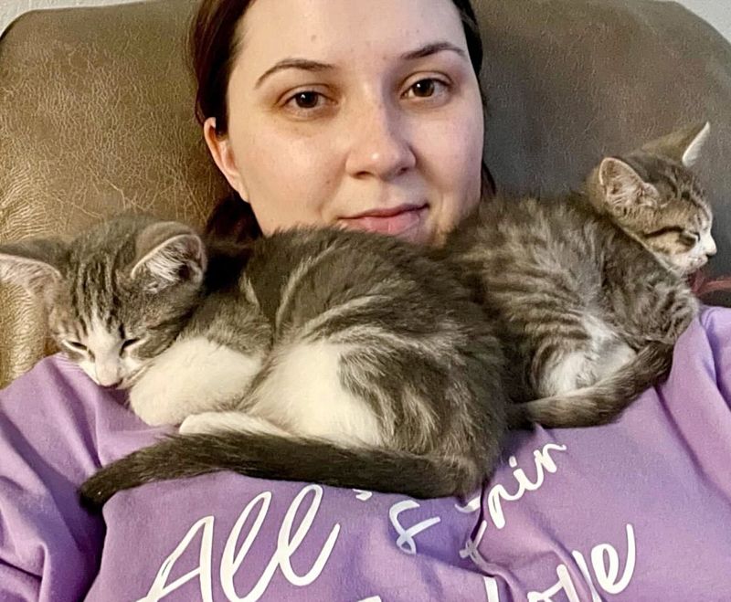 kittens snuggling neck