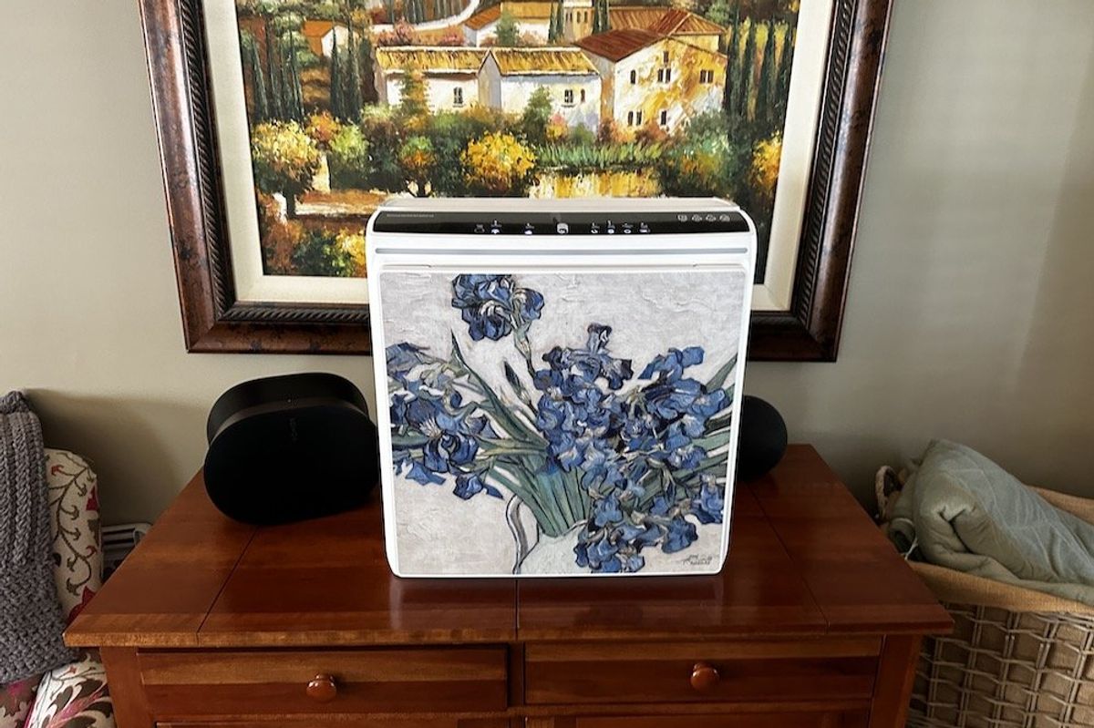 A photo of Rabbit Air A3 Ultra Quiet Air Purifier on a table.