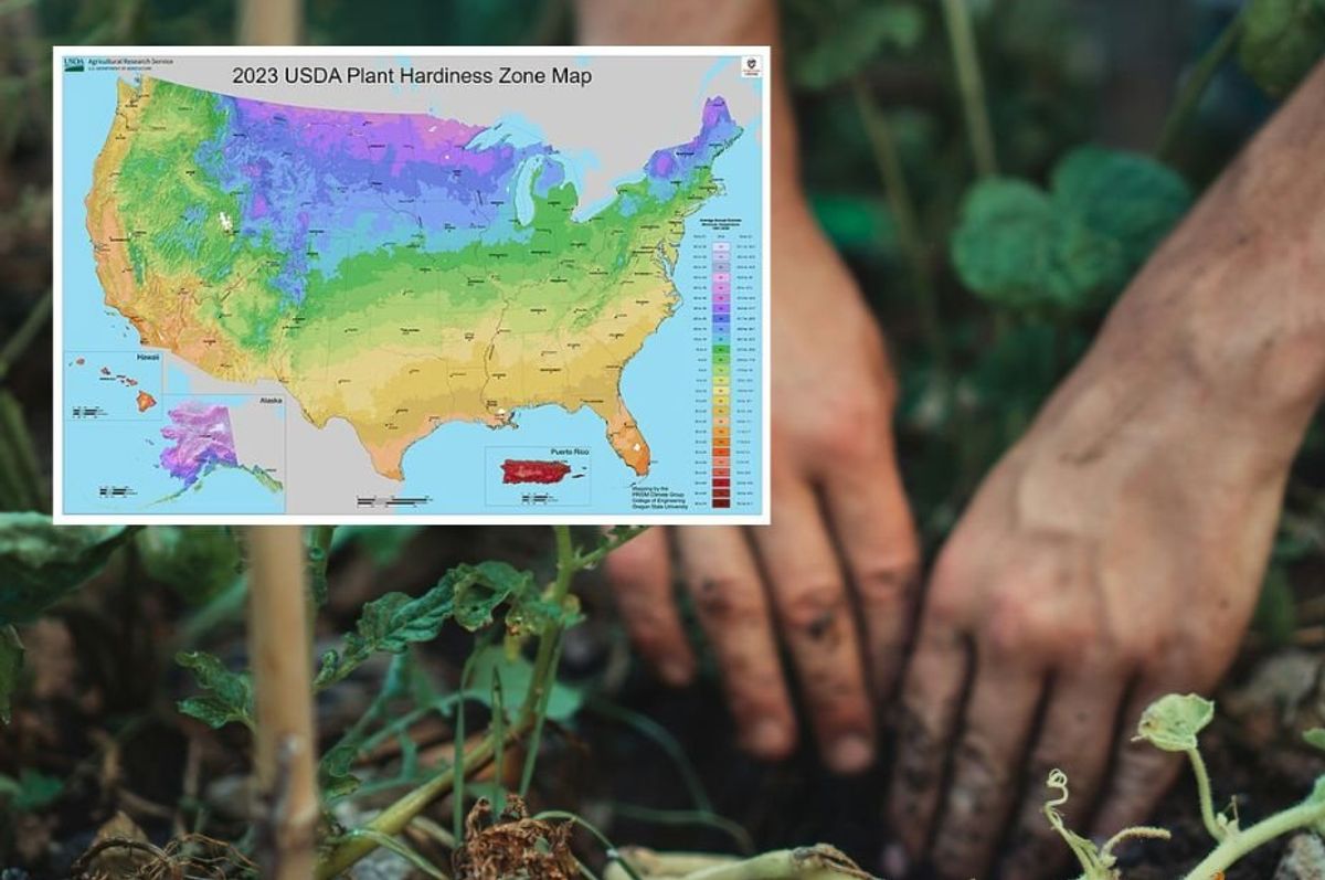hands digging in a garden overlayed with plant hardiness zone map for 2023