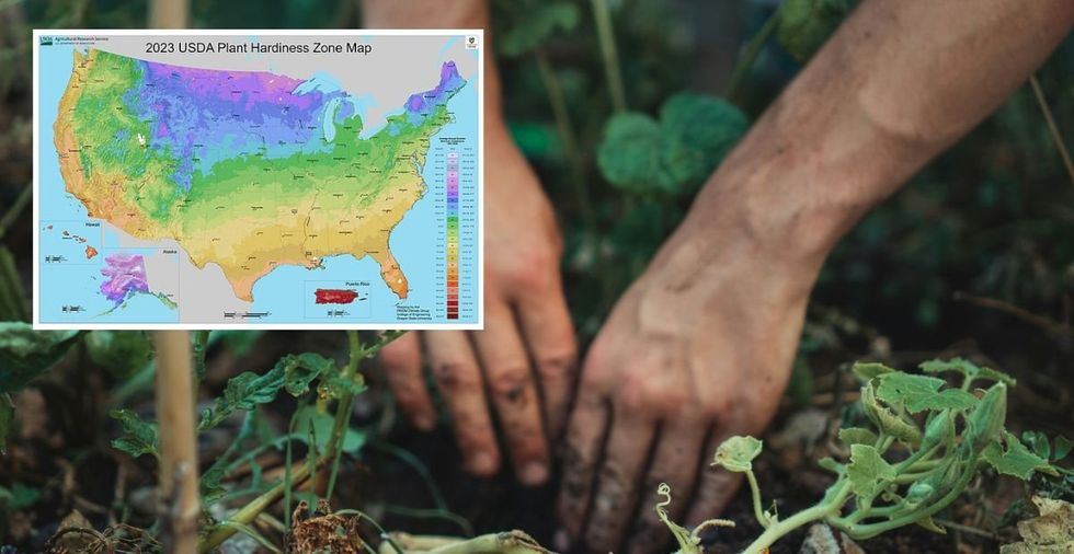 Americans see gardening changes as 'plant hardiness zones' shift across half the U.S.