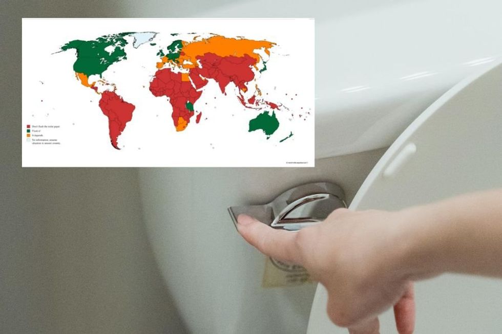 The surprising places you can't flush toilet paper, even with fully flushing toilets