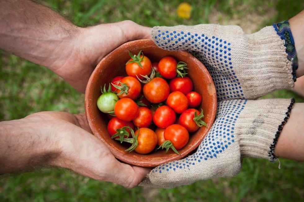 one person handing another person a bowl of cherry tomatoes