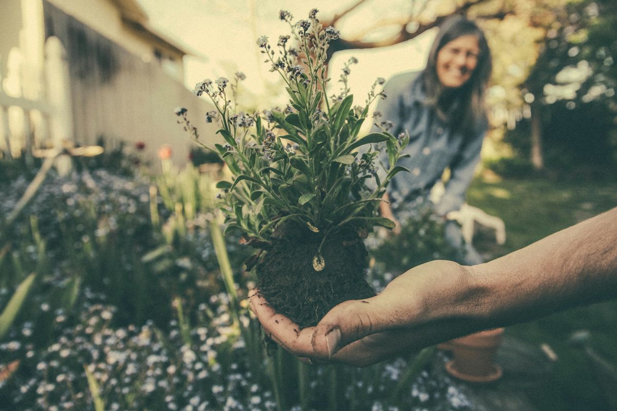 man holding plant in a garden with woman smiling in the background