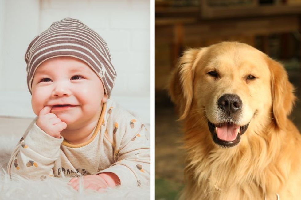 Golden Retriever and baby girl team up to make inspired Mother's Day gift out of blackberries
