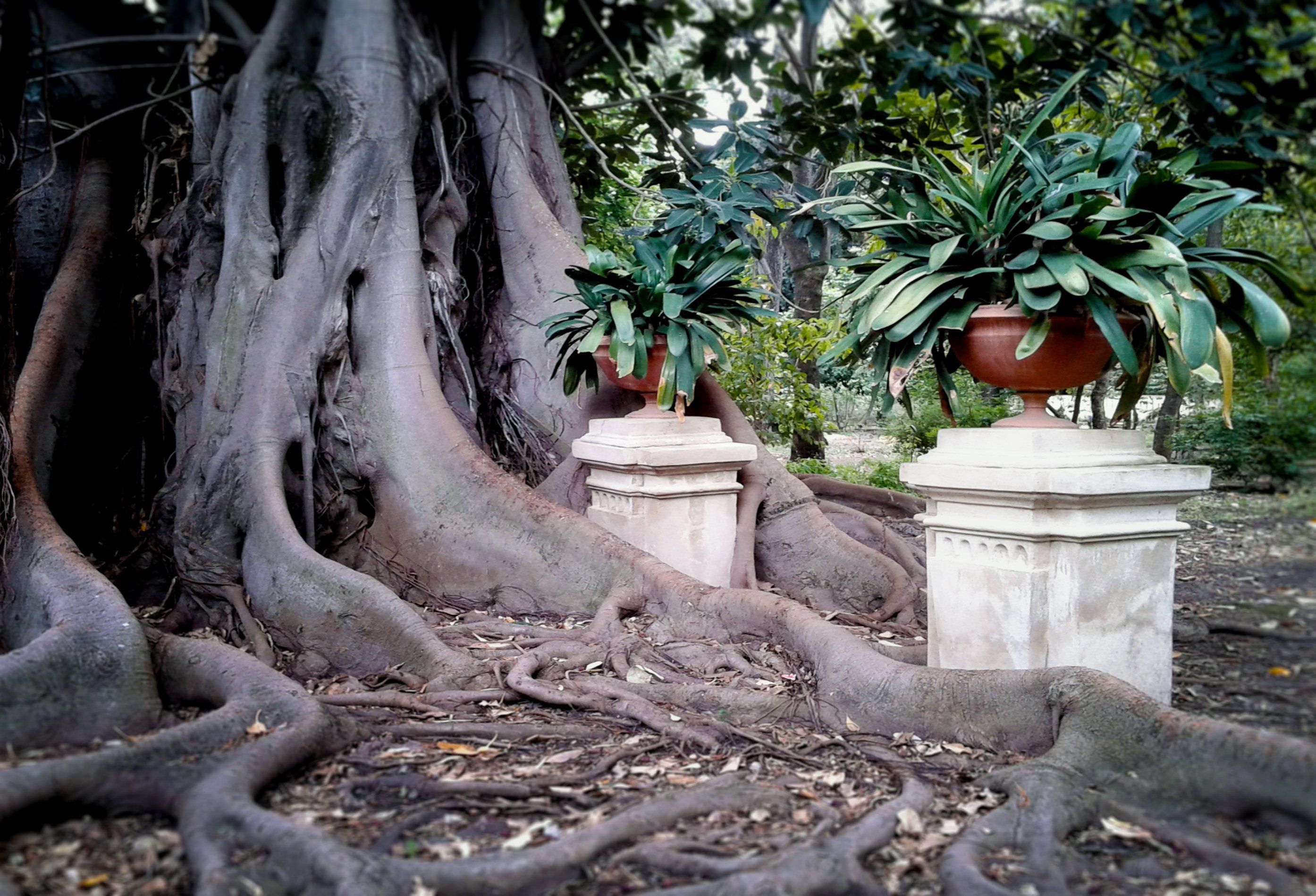 La fotografia divisa tra «rigore» e spettacolarizzazione del paesaggio