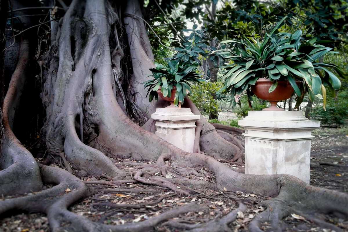La fotografia divisa tra «rigore» e spettacolarizzazione del paesaggio