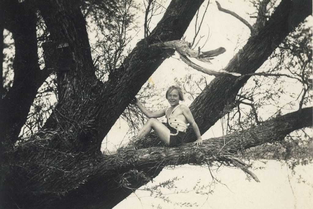 Le donne che grazie agli alberi hanno potuto guardare più lontano
