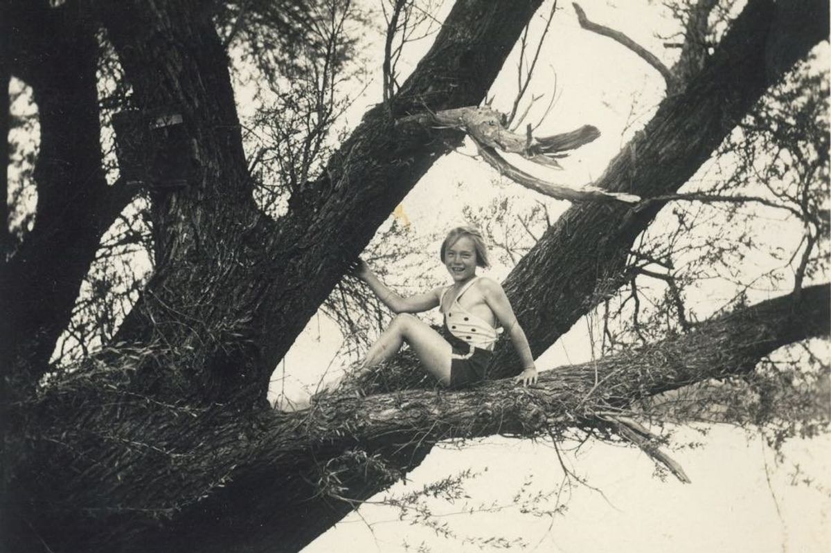 Le donne che grazie agli alberi hanno potuto guardare più lontano