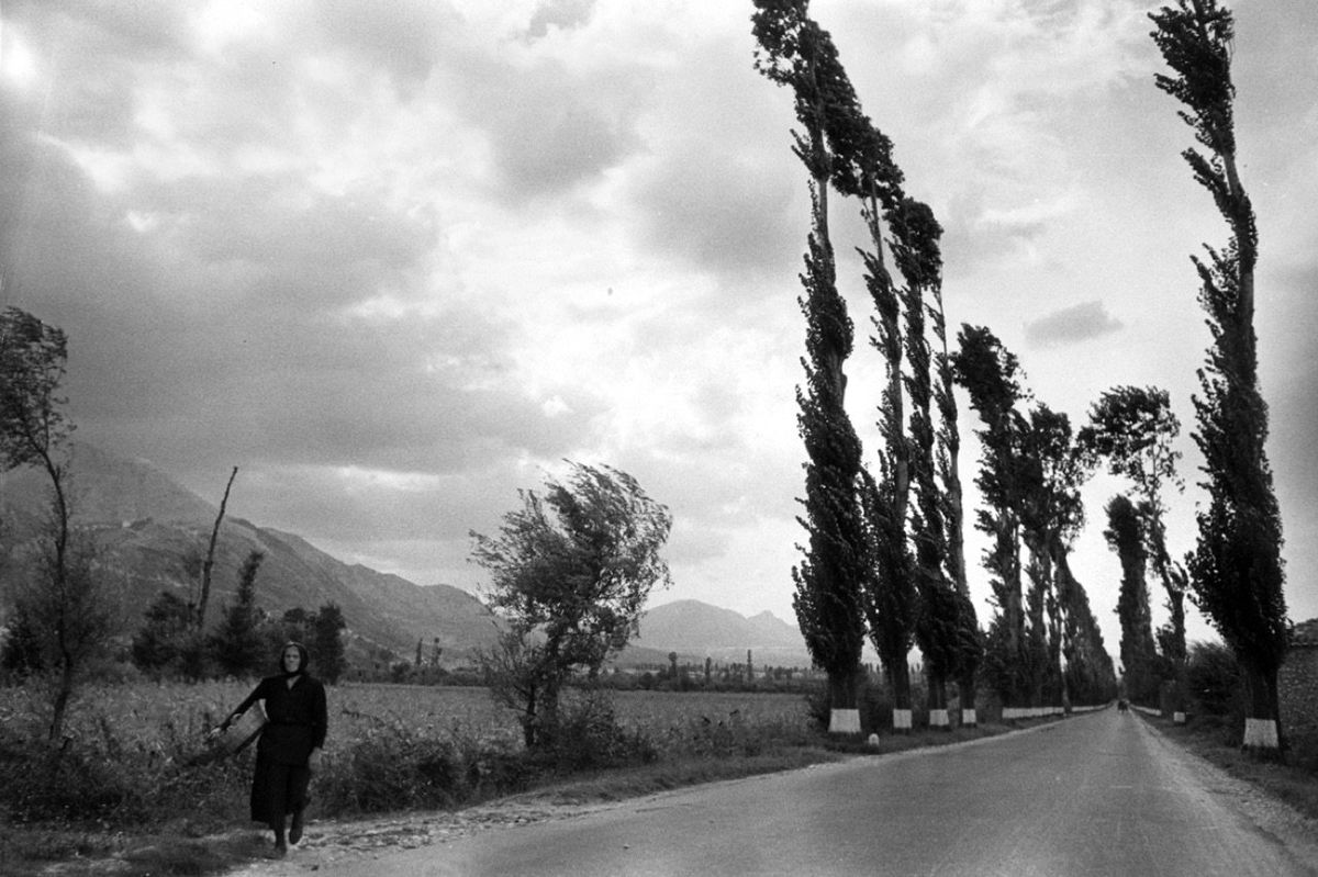 Federico Garolla in mostra a Villa Pisani