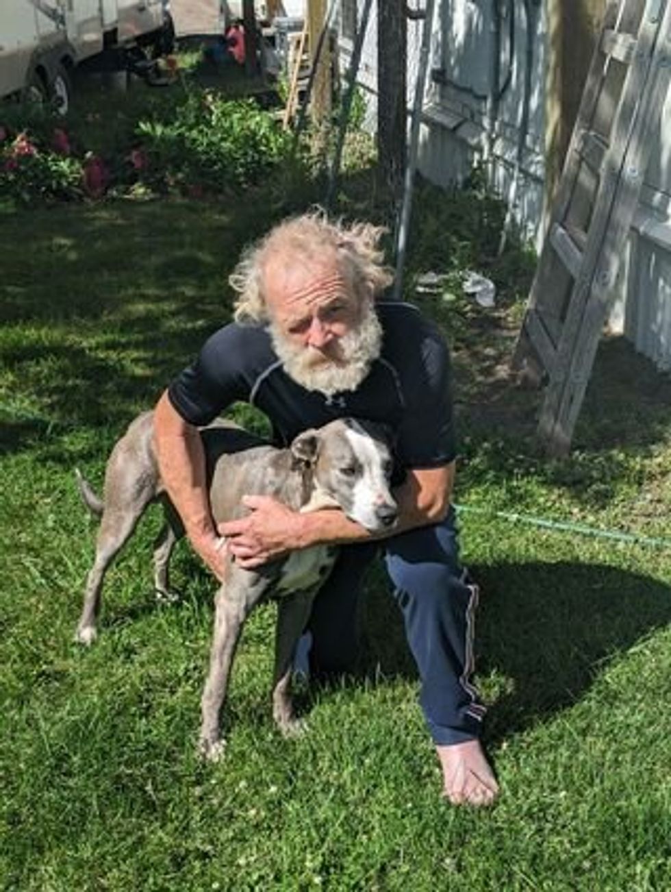 man with arms around a gray and white whippet dog