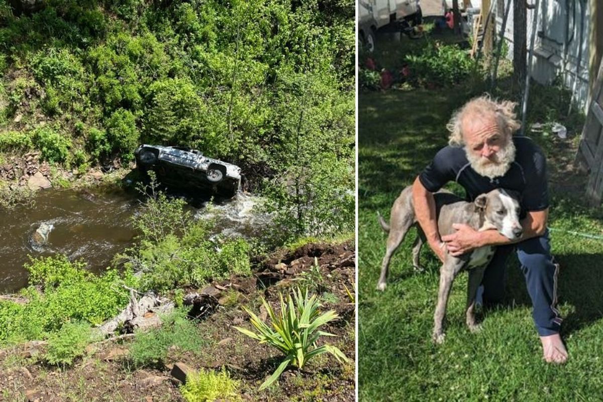 truck in a ravine, man with his arms around a dog