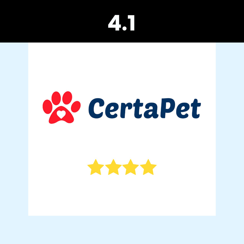 Where Should You Go For Your ESA Letter? We Compare 3 Options popdust